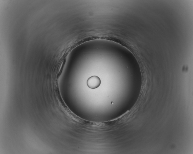 X0000112360720200908201503