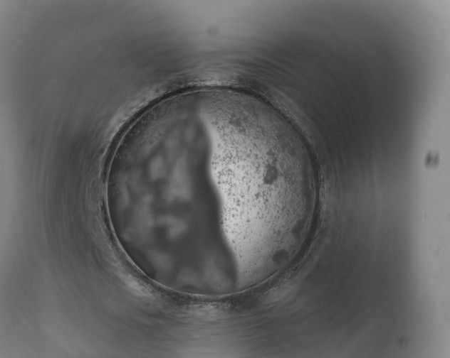 X0000112360721200908201502