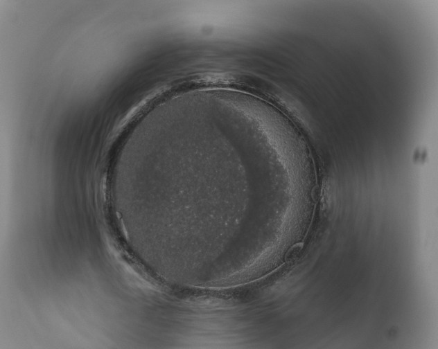 X0000112360722200908201502