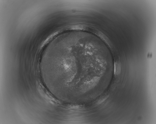 X0000112360723200908201502