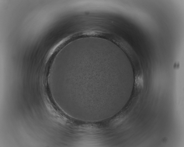 X0000112360724200908201502