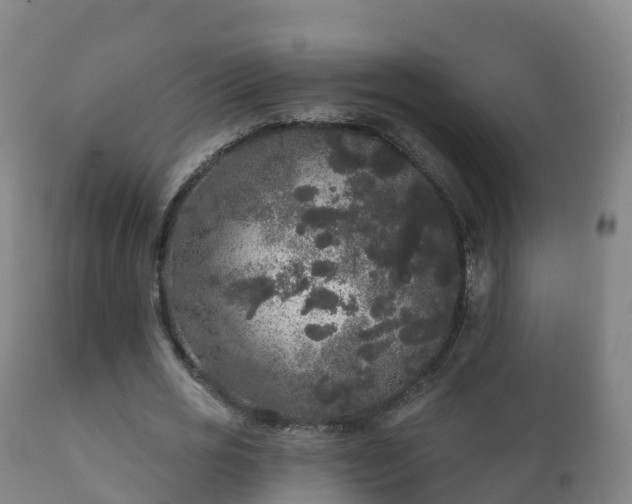 X0000112360725200908201502