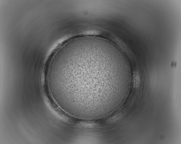 X0000112360726200908201502