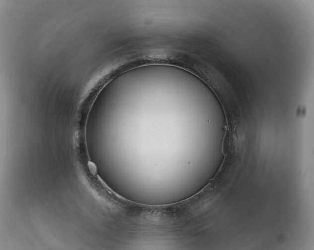 X0000112360728200908201502