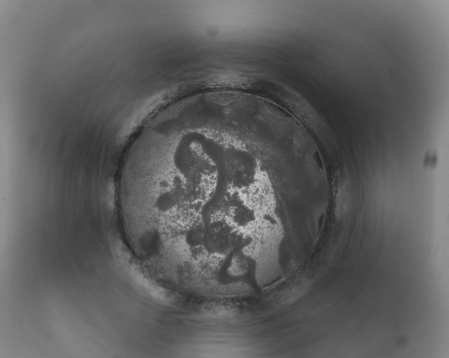 X0000112360729200908201502