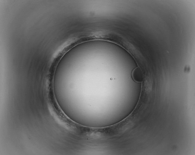 X0000112360730200908201502