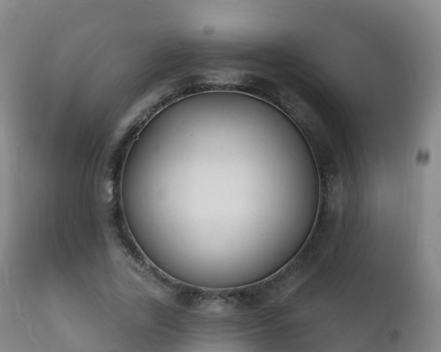 X0000112360731200908201502