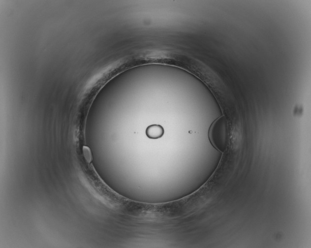 X0000112360732200908201502