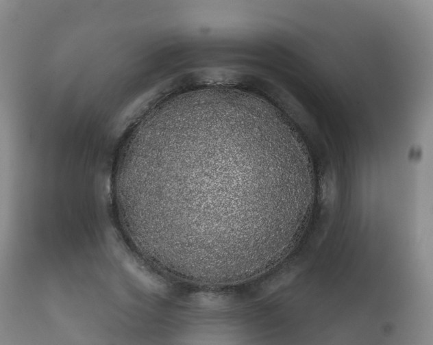 X0000112360733200908201502