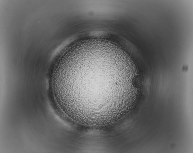 X0000112360734200908201502