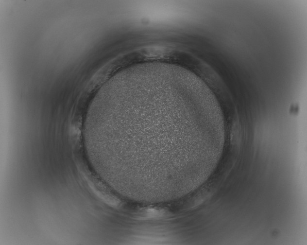 X0000112360737200908201502