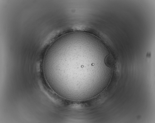 X0000112360738200908201502