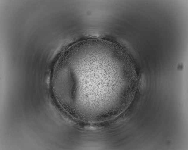 X0000112360739200908201502