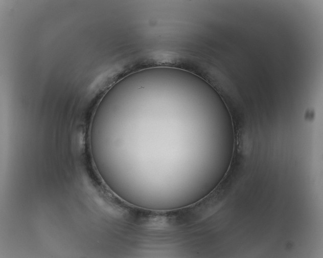 X0000112360740200908201502