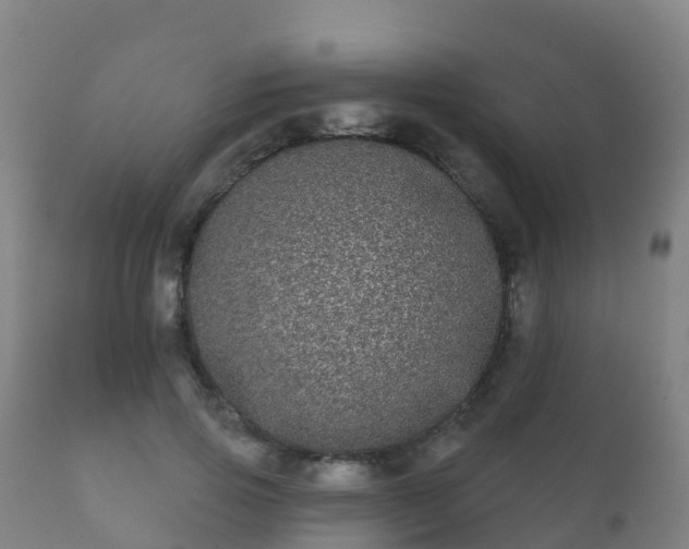 X0000112360741200908201502