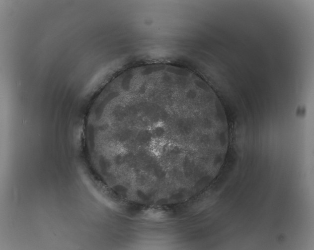 X0000112360742200908201502