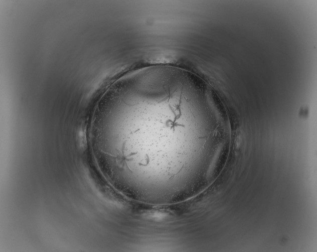 X0000112360743200908201502