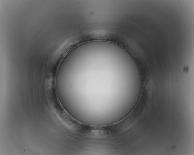 X0000112360744200908201502