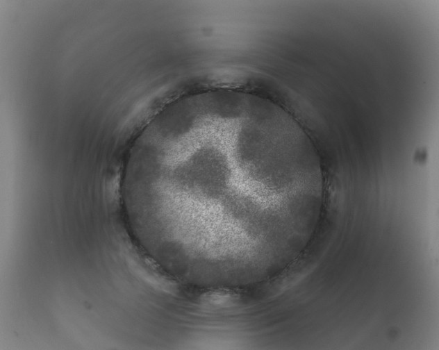 X0000112360745200908201502