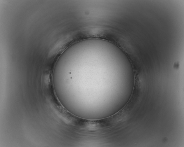 X0000112360746200908201502