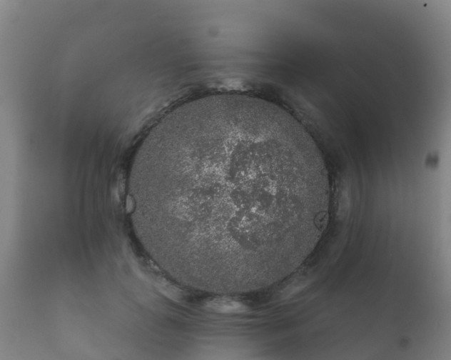 X0000112360747200908201502