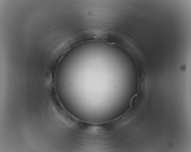 X0000112360748200908201502