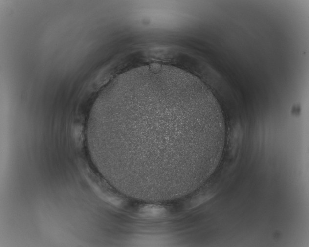 X0000112360749200908201502