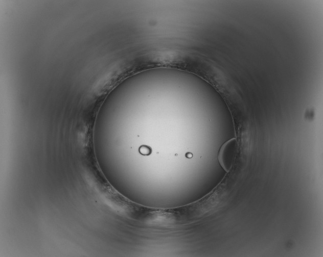 X0000112360750200908201502