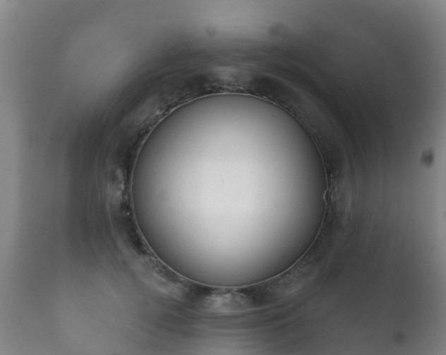 X0000112360752200908201502