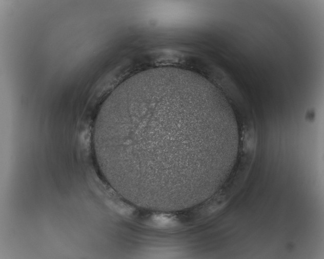 X0000112360753200908201502