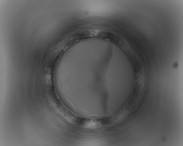 X0000112360754200908201502