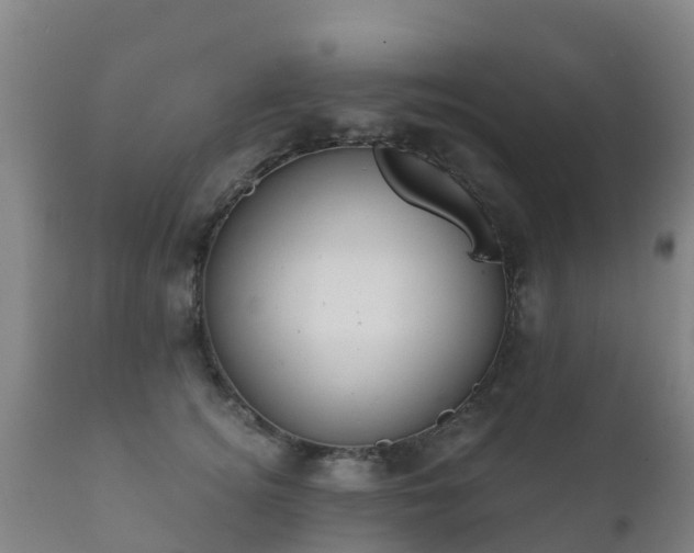 X0000112360756200908201502