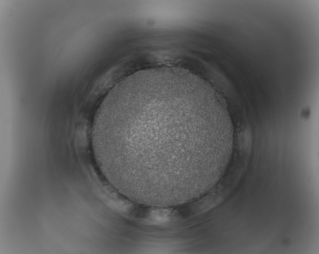 X0000112360757200908201502