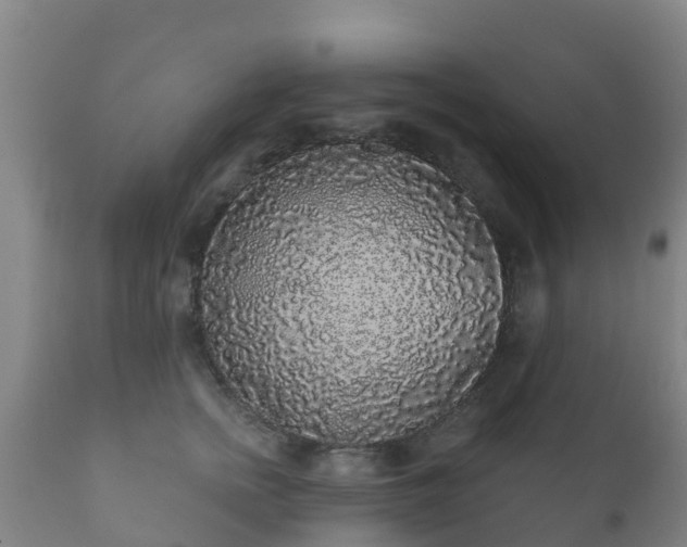 X0000112360758200908201503