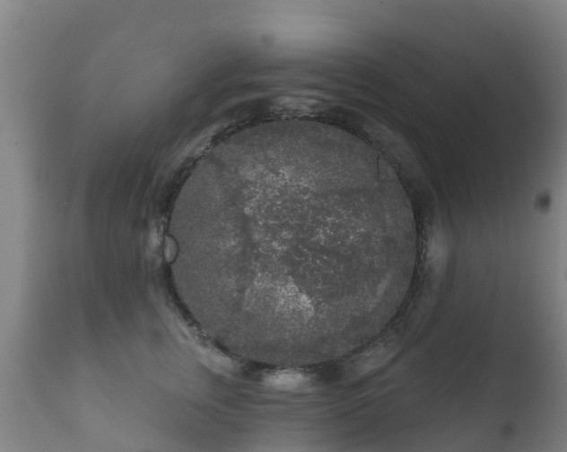 X0000112360759200908201503