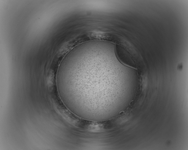 X0000112360760200908201503