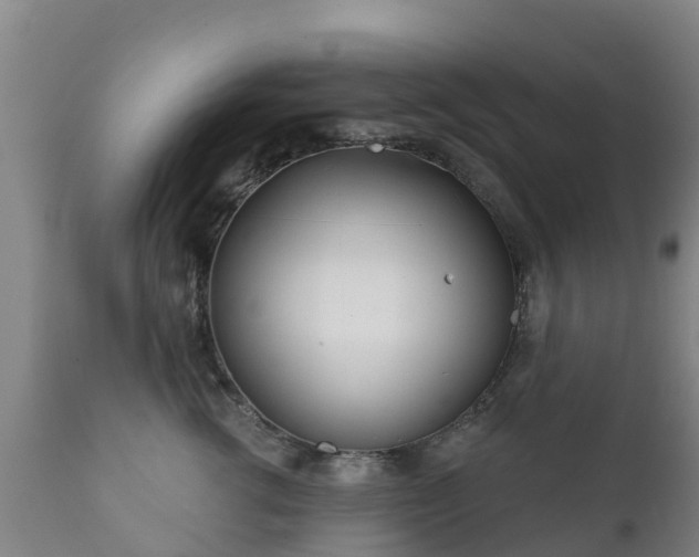 X0000112360762200908201503