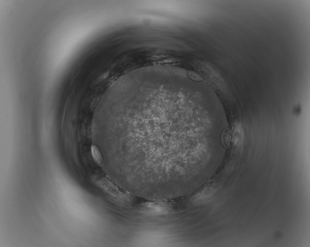 X0000112360763200908201503