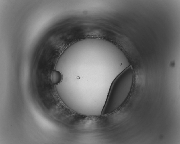 X0000112360764200908201503