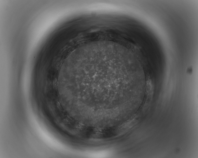 X0000112360765200908201503