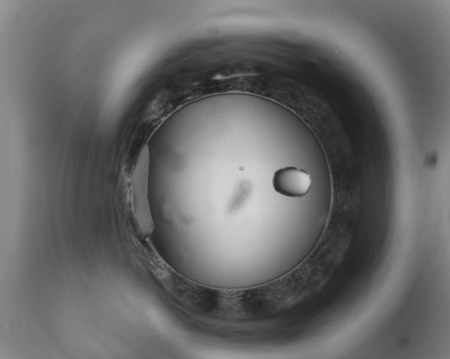 X0000112360766200908201503