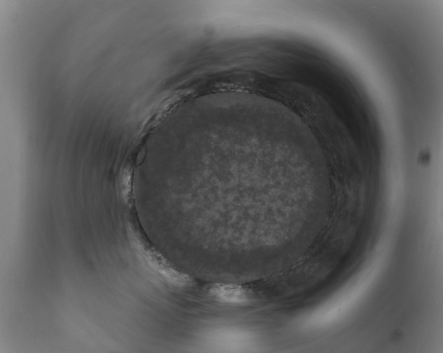 X0000112360767200908201503