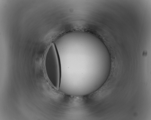 X0000112360768200908201503