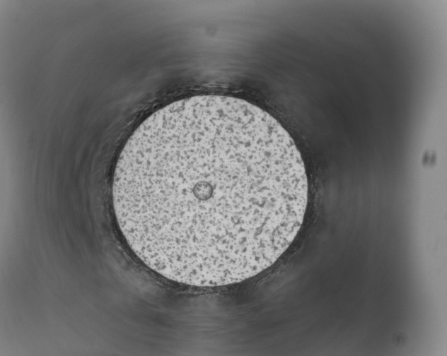 X0000112360769200908201502