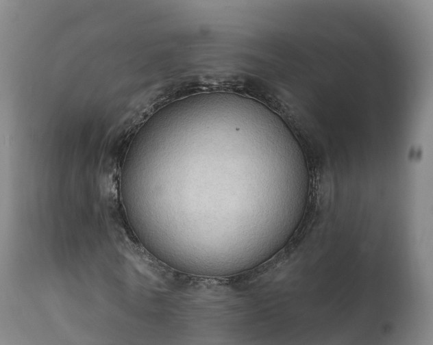 X0000112360770200908201502