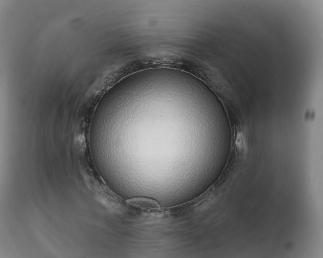 X0000112360771200908201502