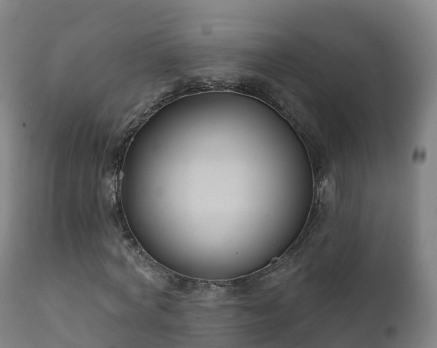 X0000112360772200908201502