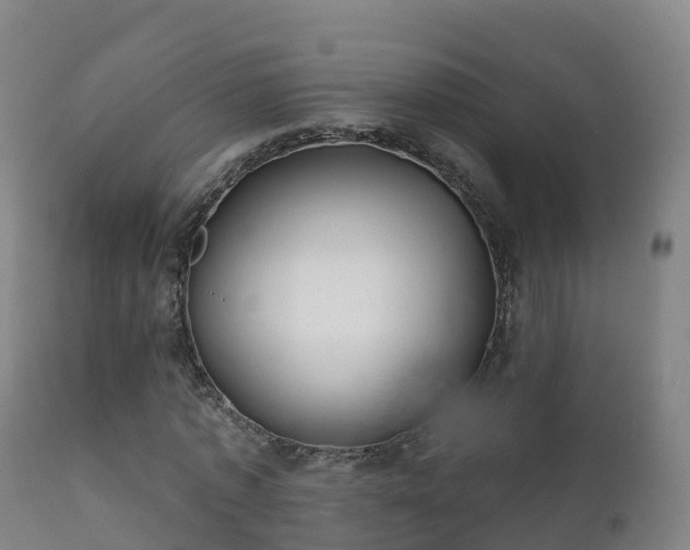 X0000112360773200908201502