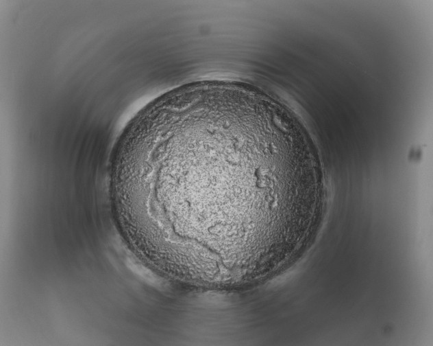 X0000112360779200908201502