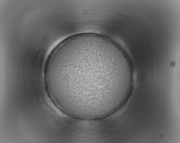 X0000112360780200908201502